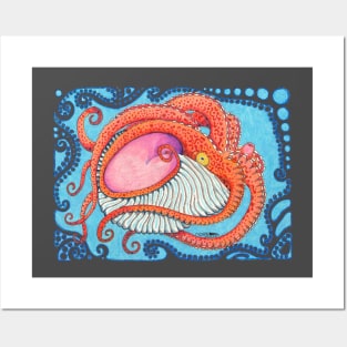 Paper Nautilus Posters and Art